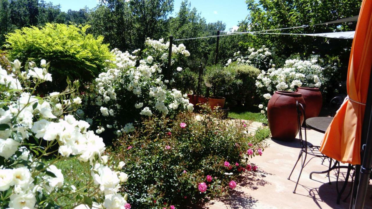Villa Des Roses Roussillon en Isere Exterior foto